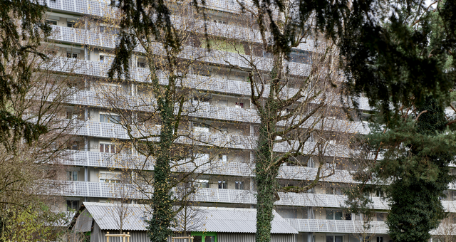 Siedlung Hirzenbach, Hirzenbachstrasse 7, 9, 11