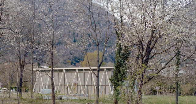 YOUNG | Salle omnisports « im Wald »