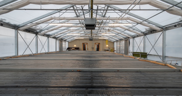 Serre de production pour la Commune de Bernex